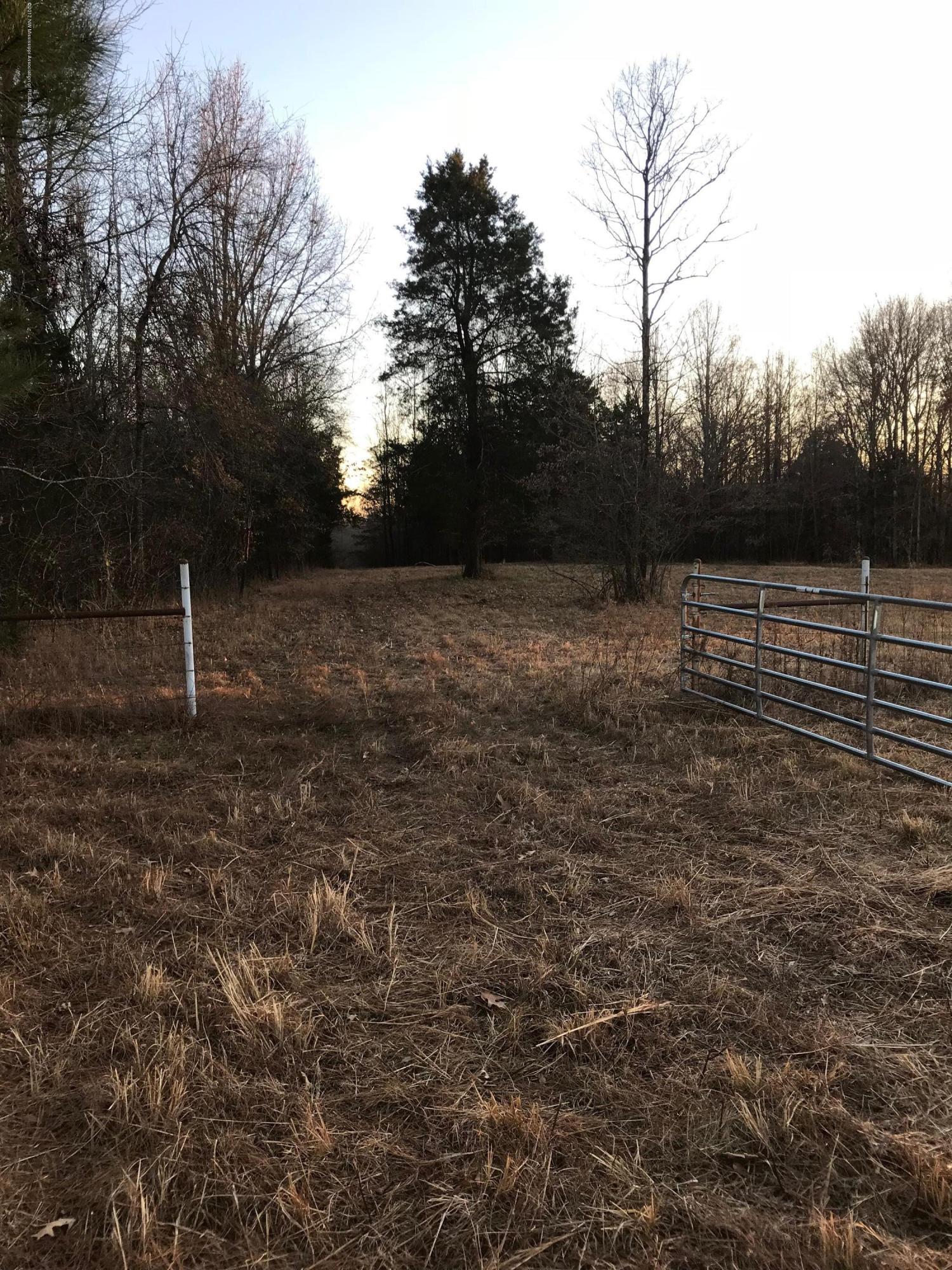 5491 Veazey Road Senatobia, MS 38668 - Photo 22 of 24 IMG_5222