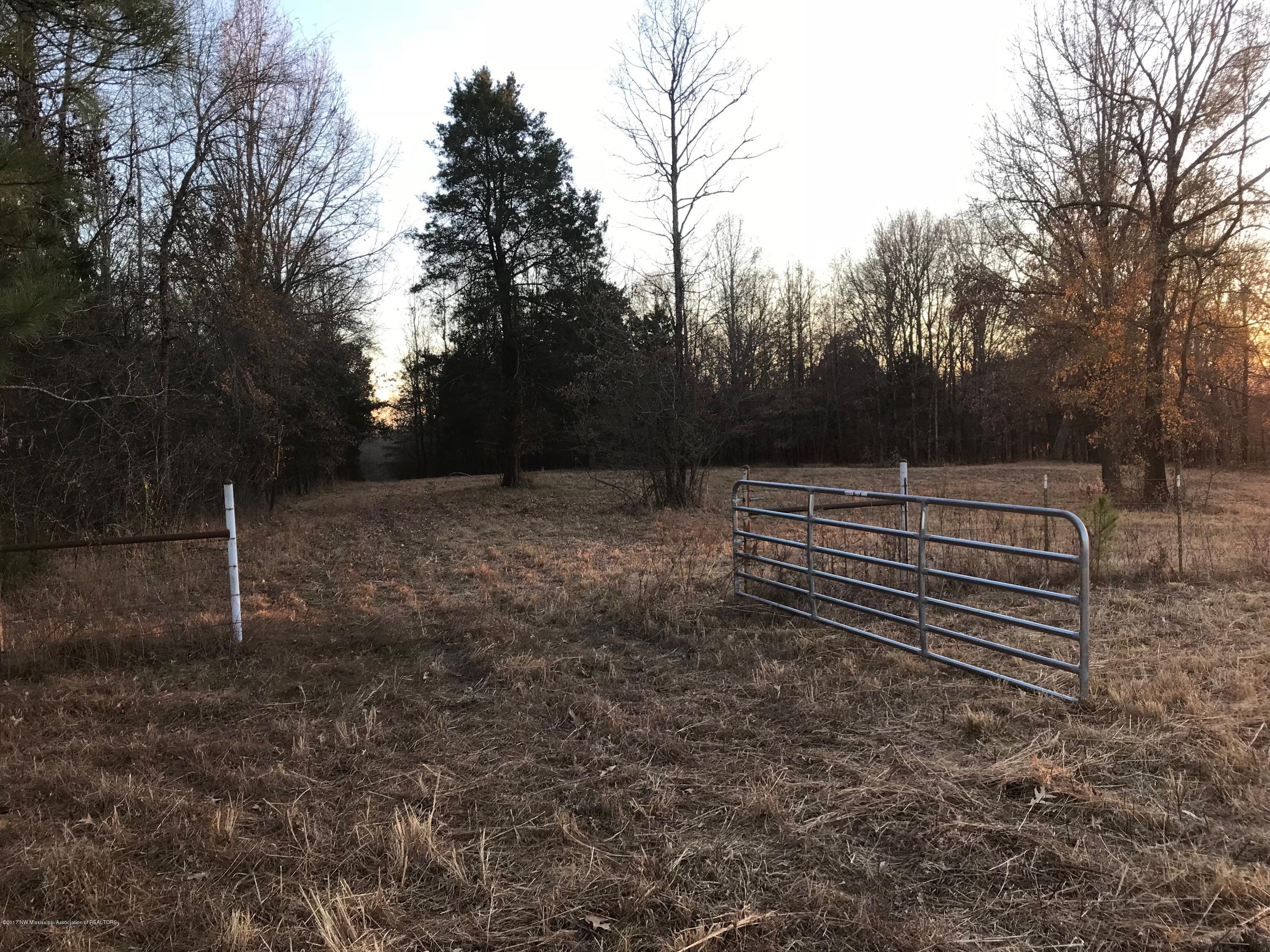 5491 Veazey Road Senatobia, MS 38668 - Photo 23 of 24 IMG_5223