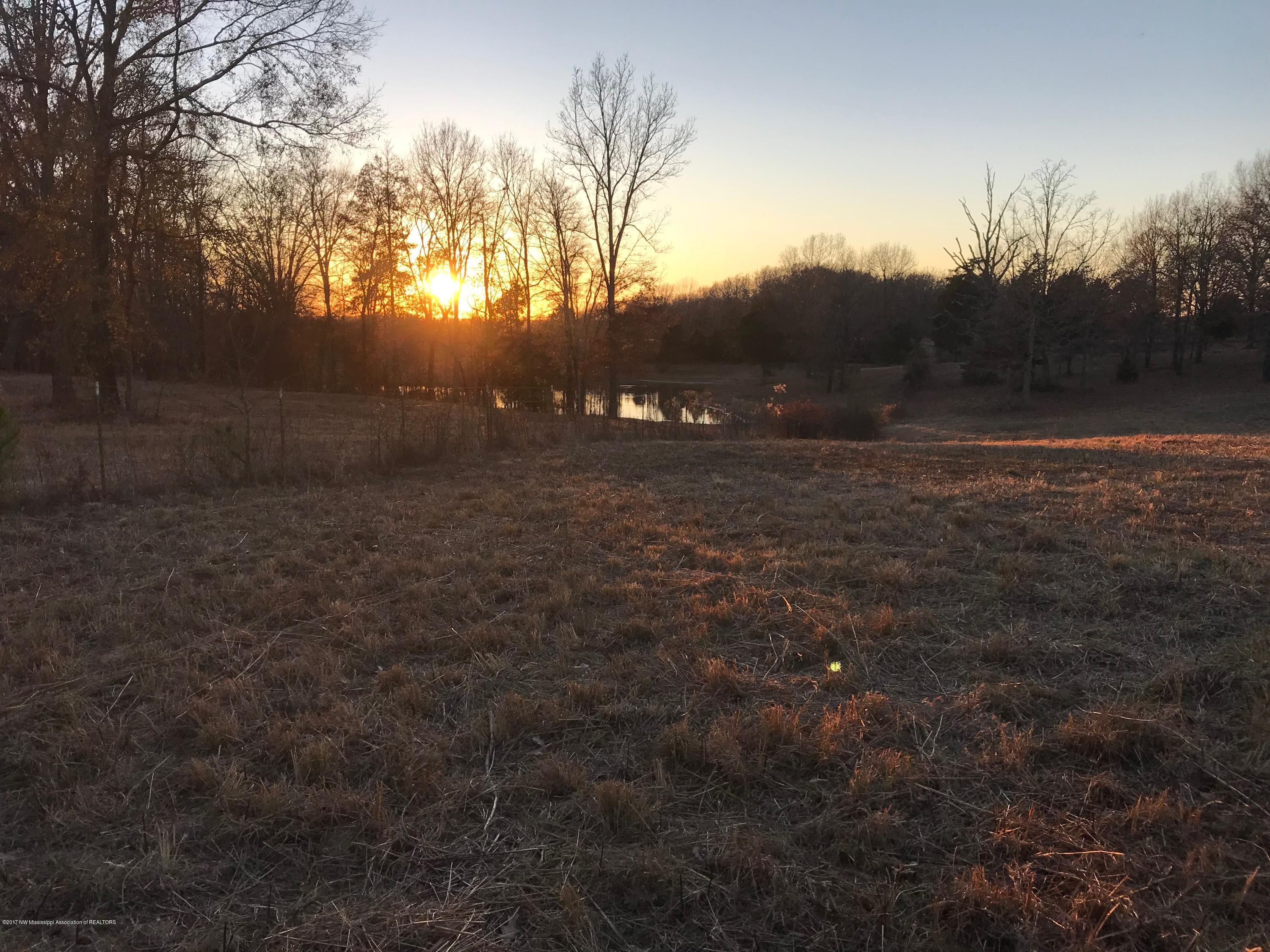 5491 Veazey Road Senatobia, MS 38668 - Photo 24 of 24 IMG_5224