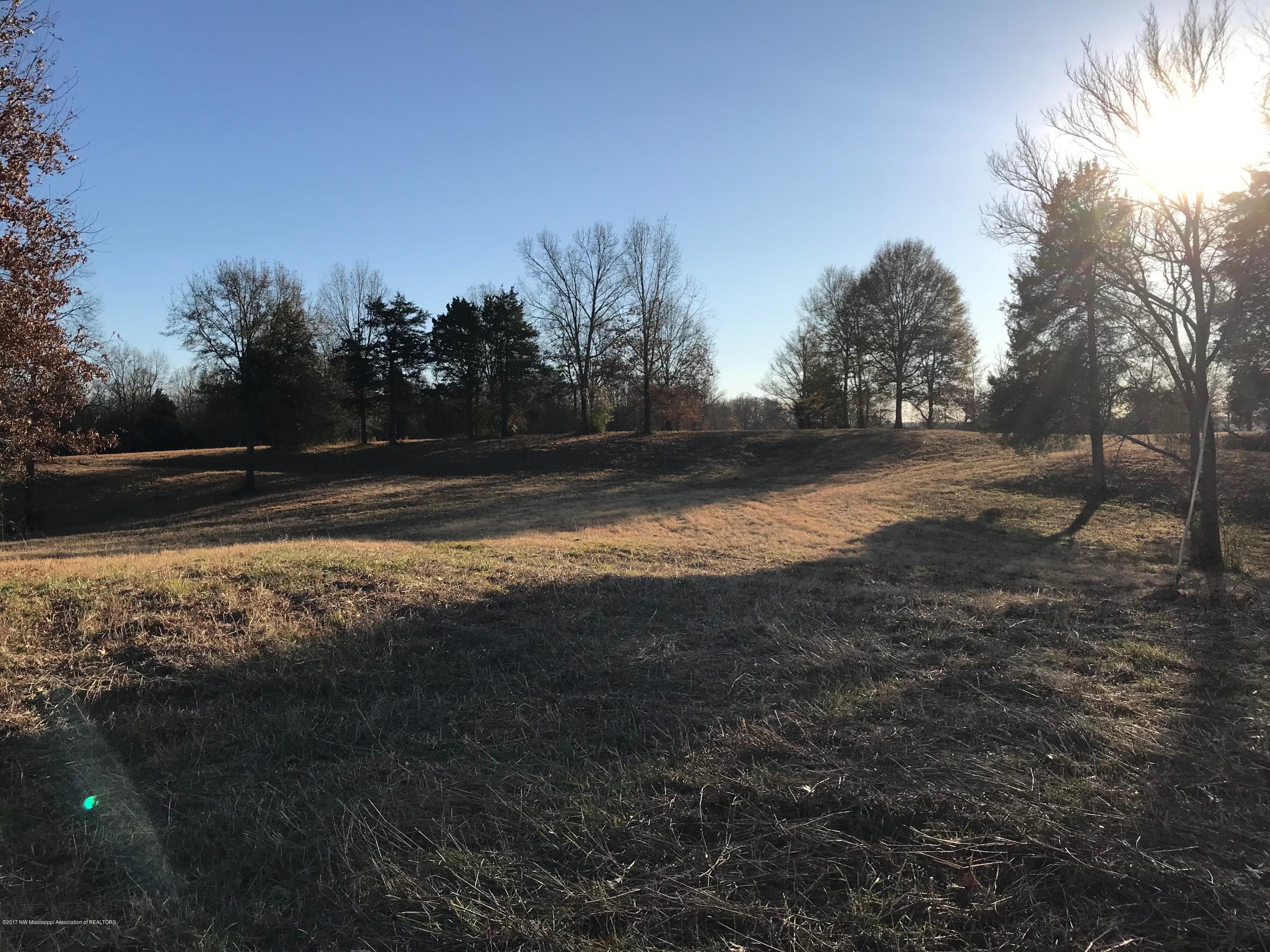 5491 Veazey Road Senatobia, MS 38668 - Photo 3 of 24 IMG_5195