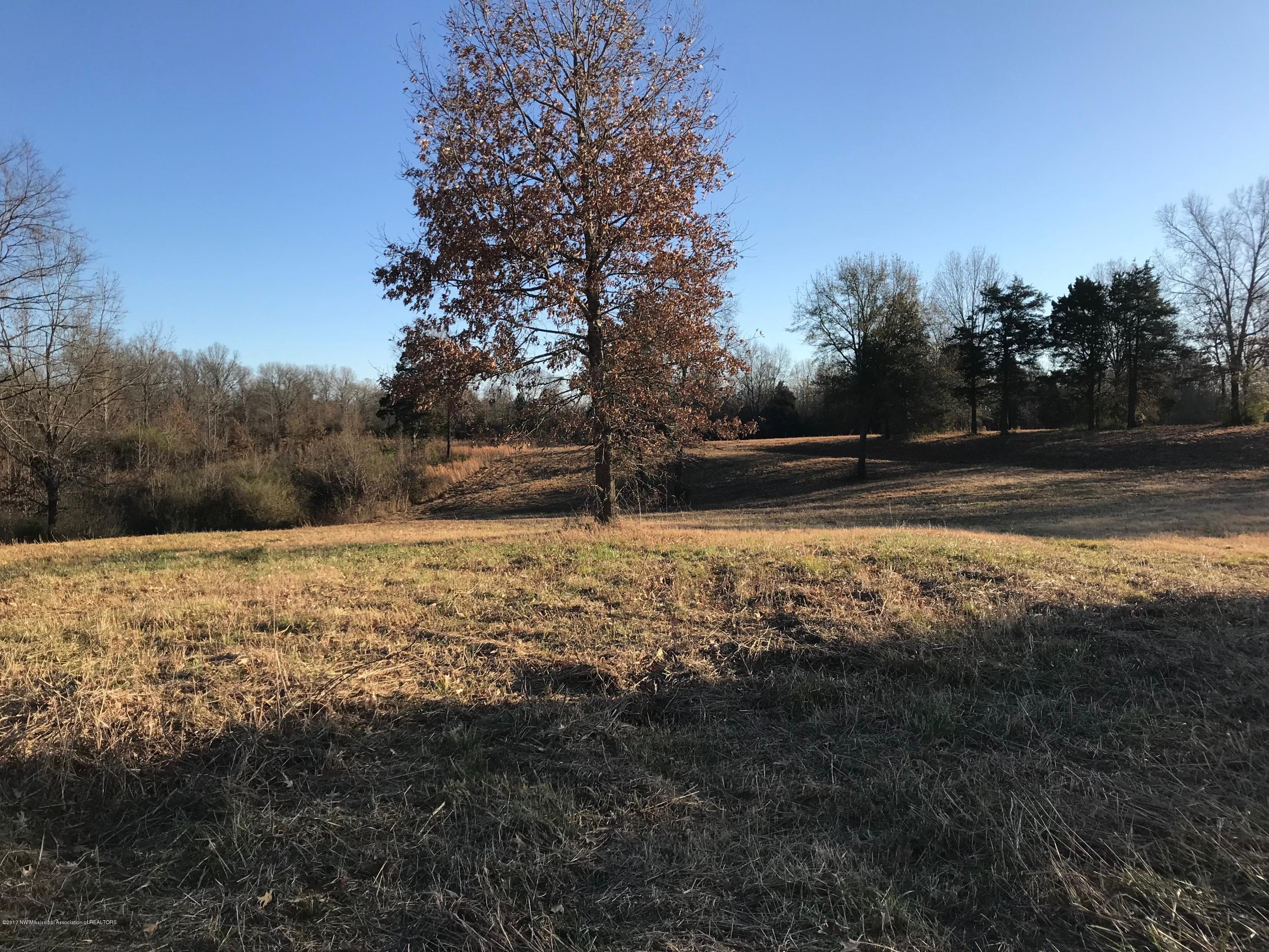 5491 Veazey Road Senatobia, MS 38668 - Photo 4 of 24 IMG_5196