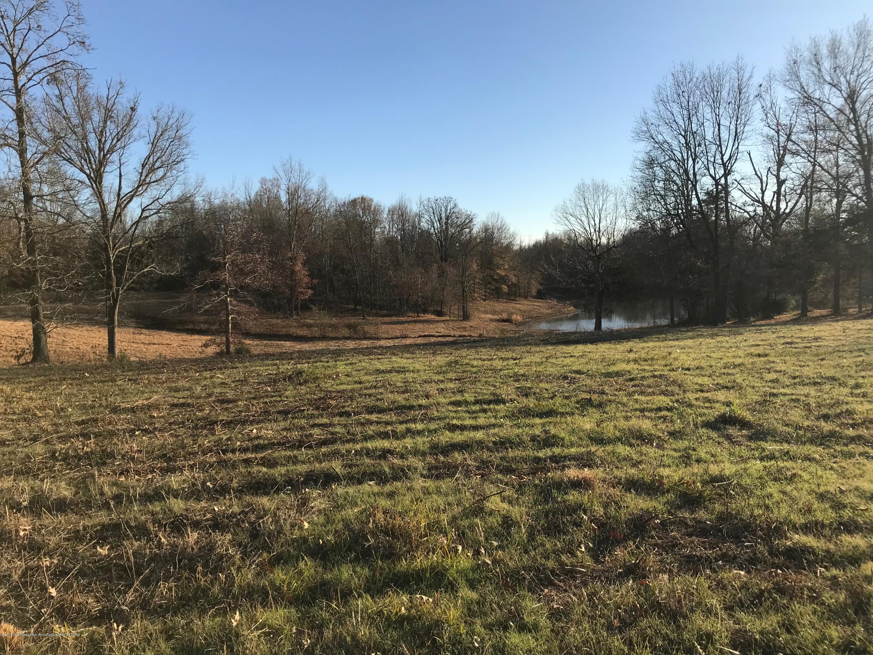 5491 Veazey Road Senatobia, MS 38668 - Photo 5 of 24 IMG_5198