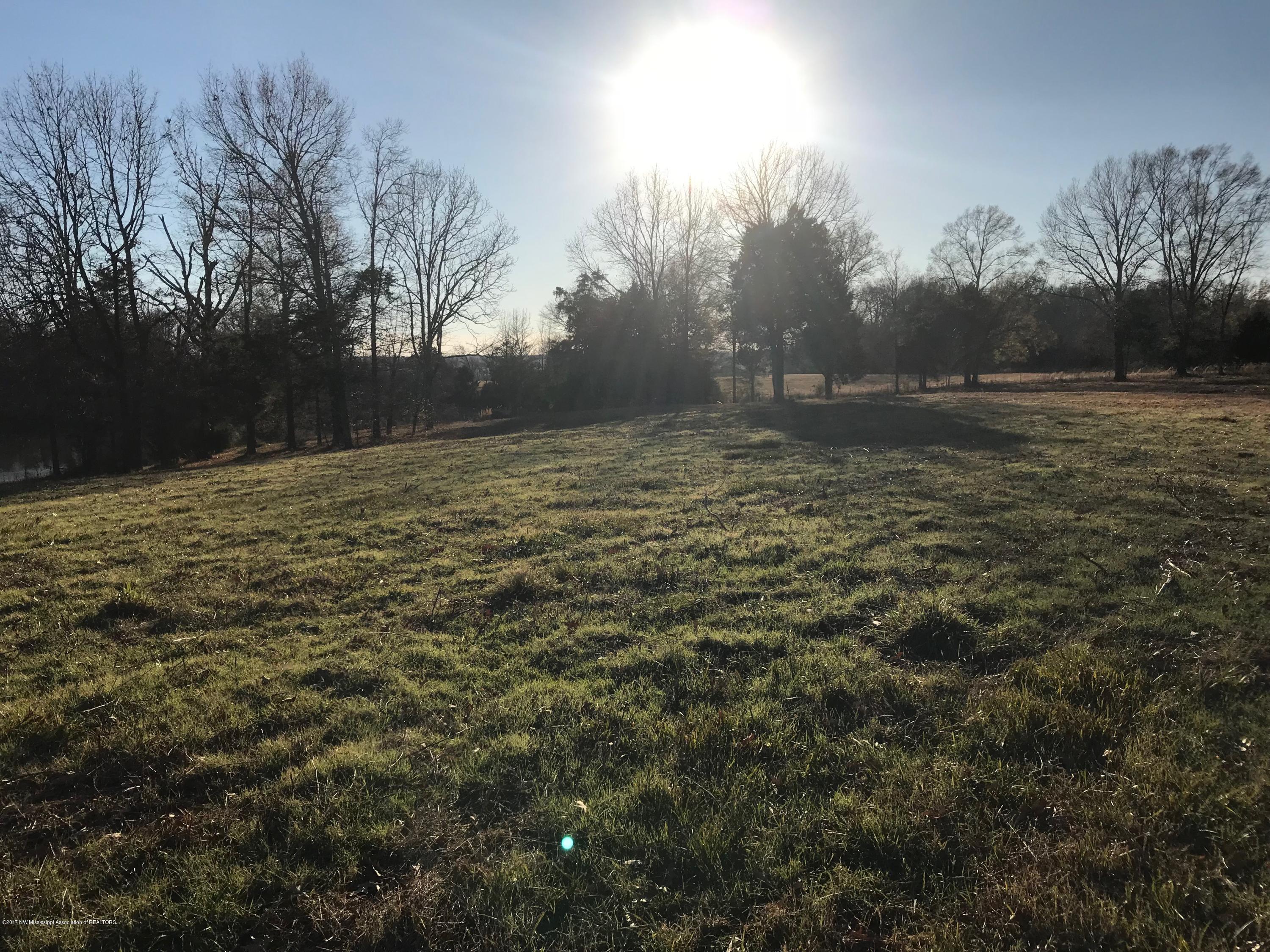 5491 Veazey Road Senatobia, MS 38668 - Photo 6 of 24 IMG_5199