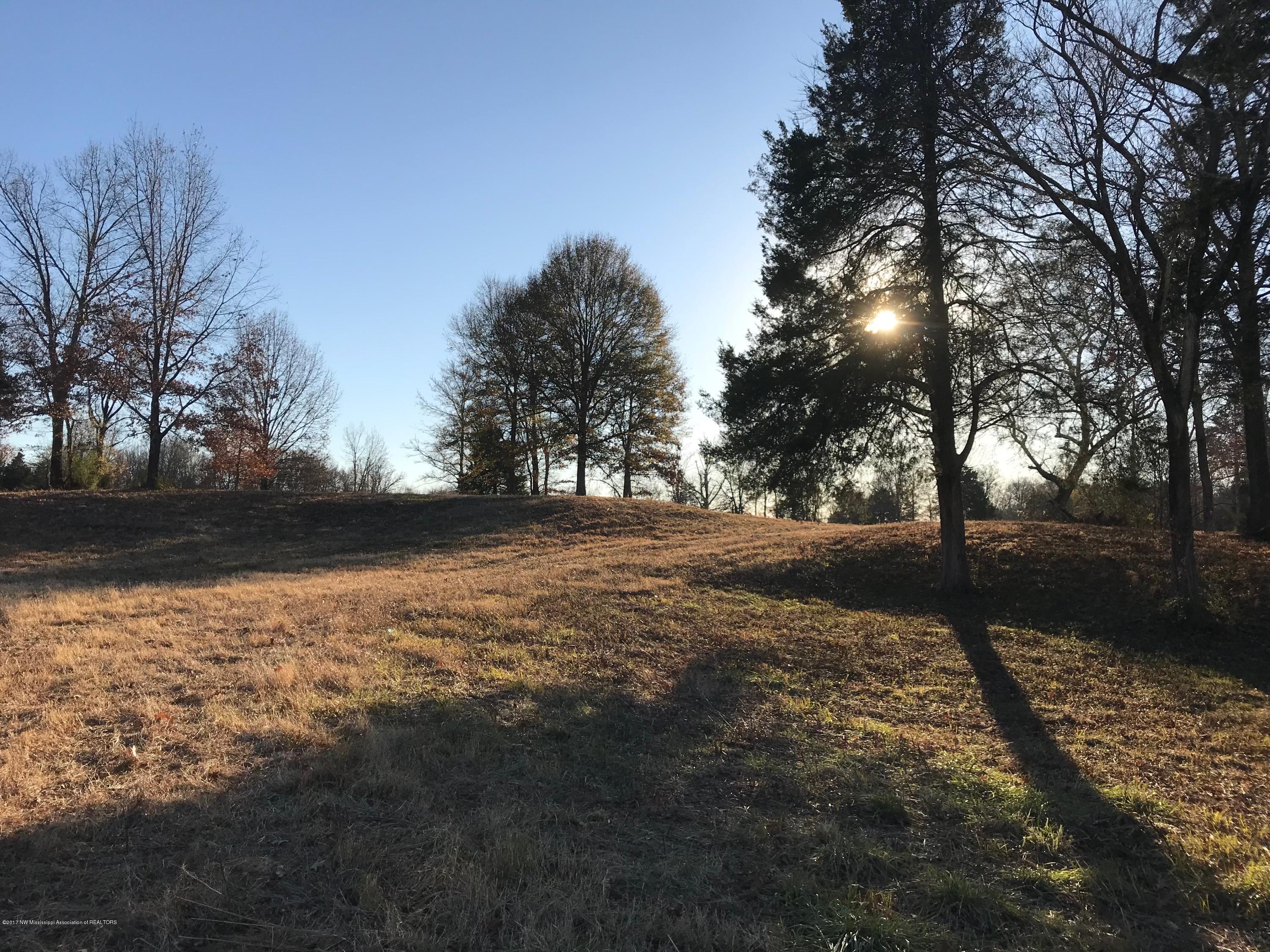 5491 Veazey Road Senatobia, MS 38668 - Photo 7 of 24 IMG_5201