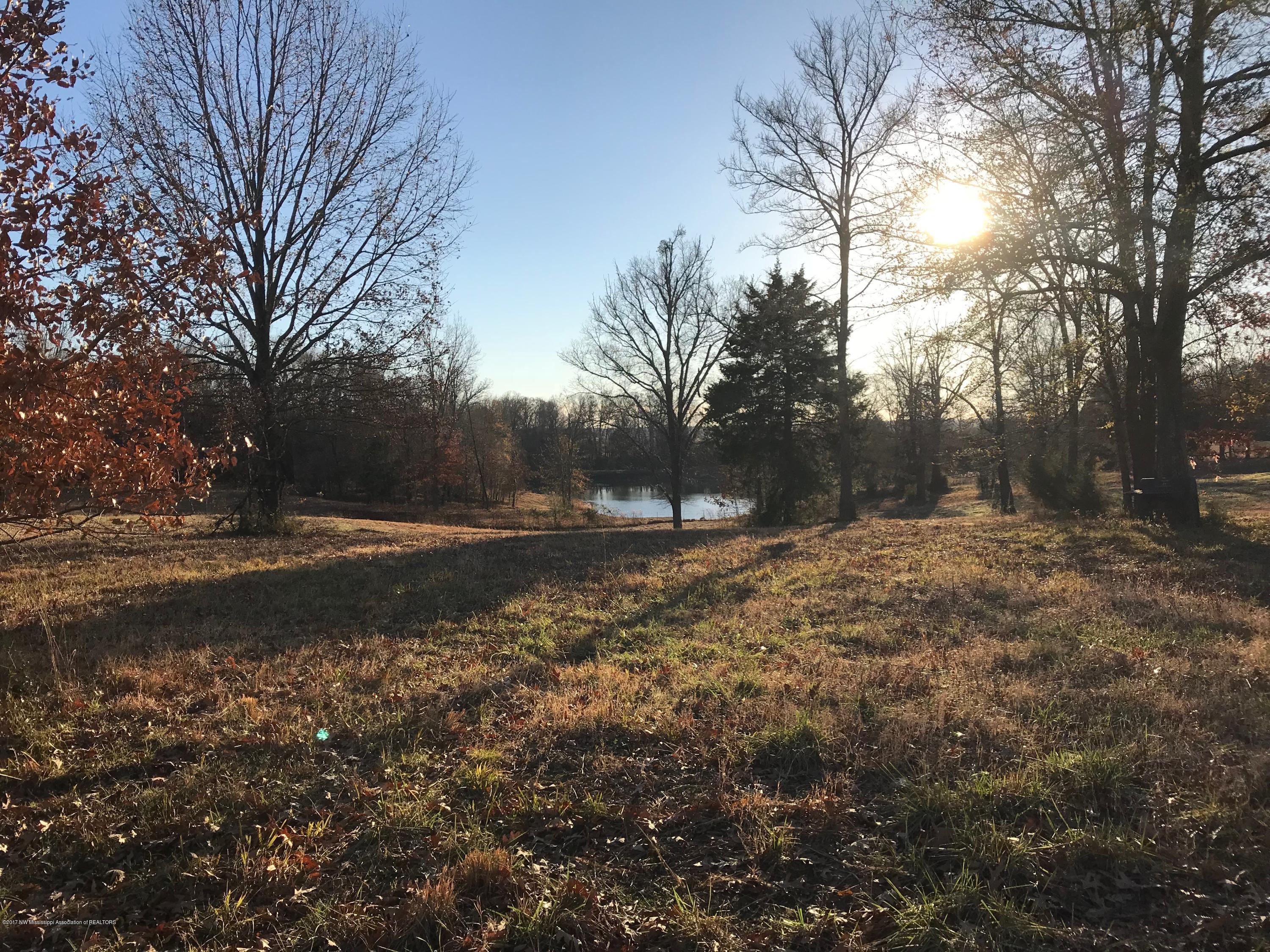 5491 Veazey Road Senatobia, MS 38668 - Photo 8 of 24 IMG_5205