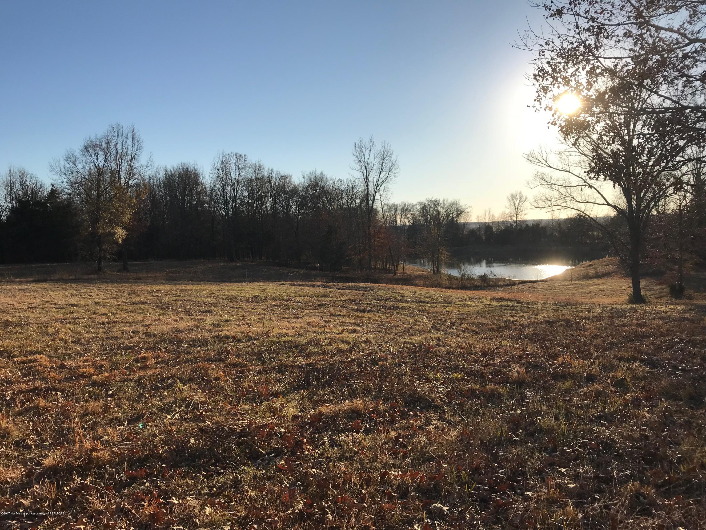 5491 Veazey Road Senatobia, MS 38668 - Photo 9 of 24 IMG_5206