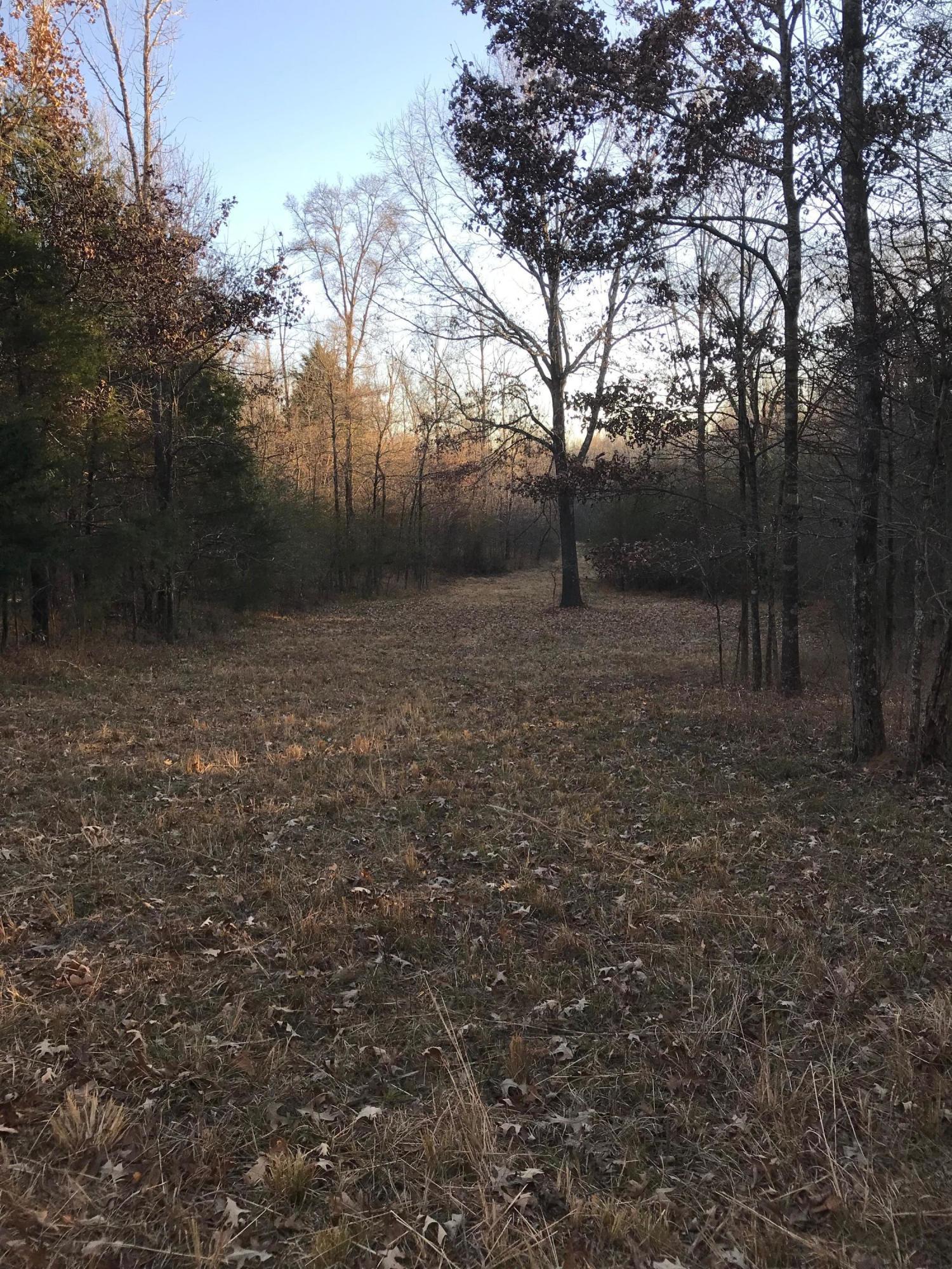 5491 Veazey Road Senatobia, MS 38668 - Photo 10 of 24 IMG_5208