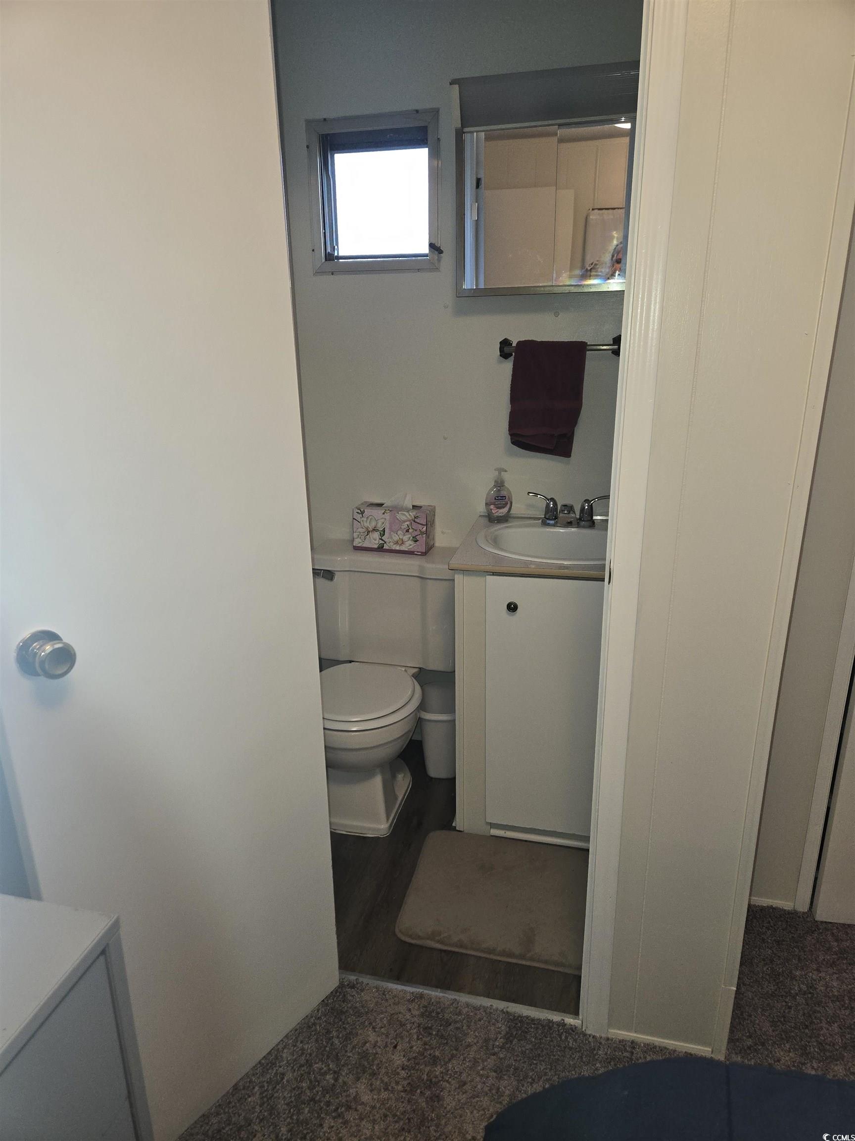 425 Delton Drive Murrells Inlet, SC 29576 - Photo 21 of 34 Half bath with toilet, vanity, and wood finished floors