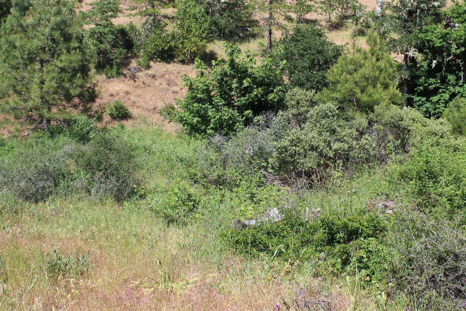 7001 Takilma Road Cave Junction, OR 97523 - Photo 3 of 3 Additional Photo