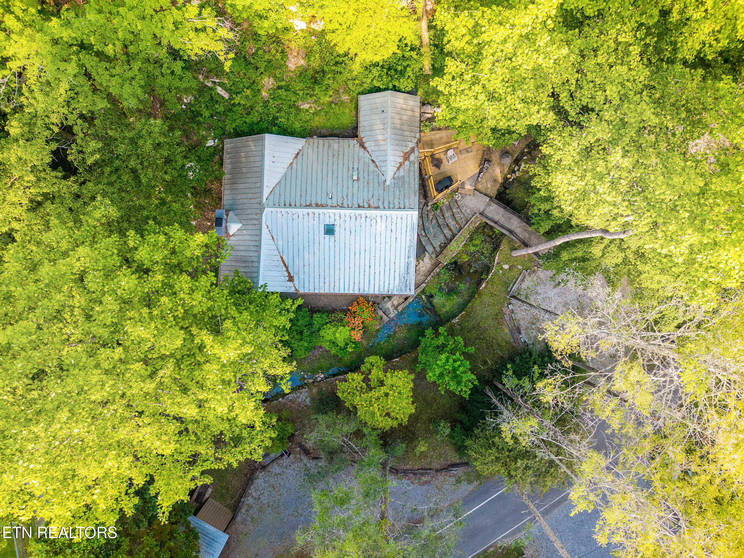 259 Black Mash Hollow Road Townsend, TN 37882 - Photo 10 of 42 IMG_2840