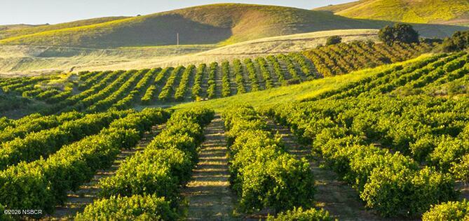 370 Hemi Road Arroyo Grande, CA 93420 - Photo 5 of 5 Orchard