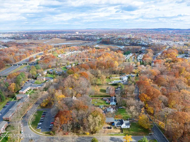 a picture of flowers