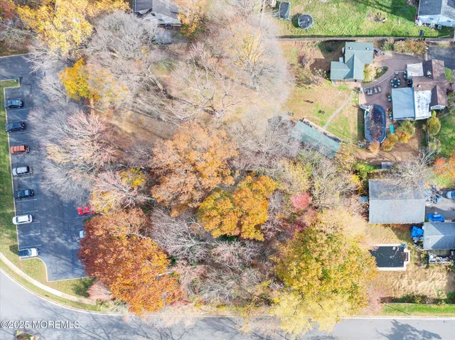 a view of a tree with a yard
