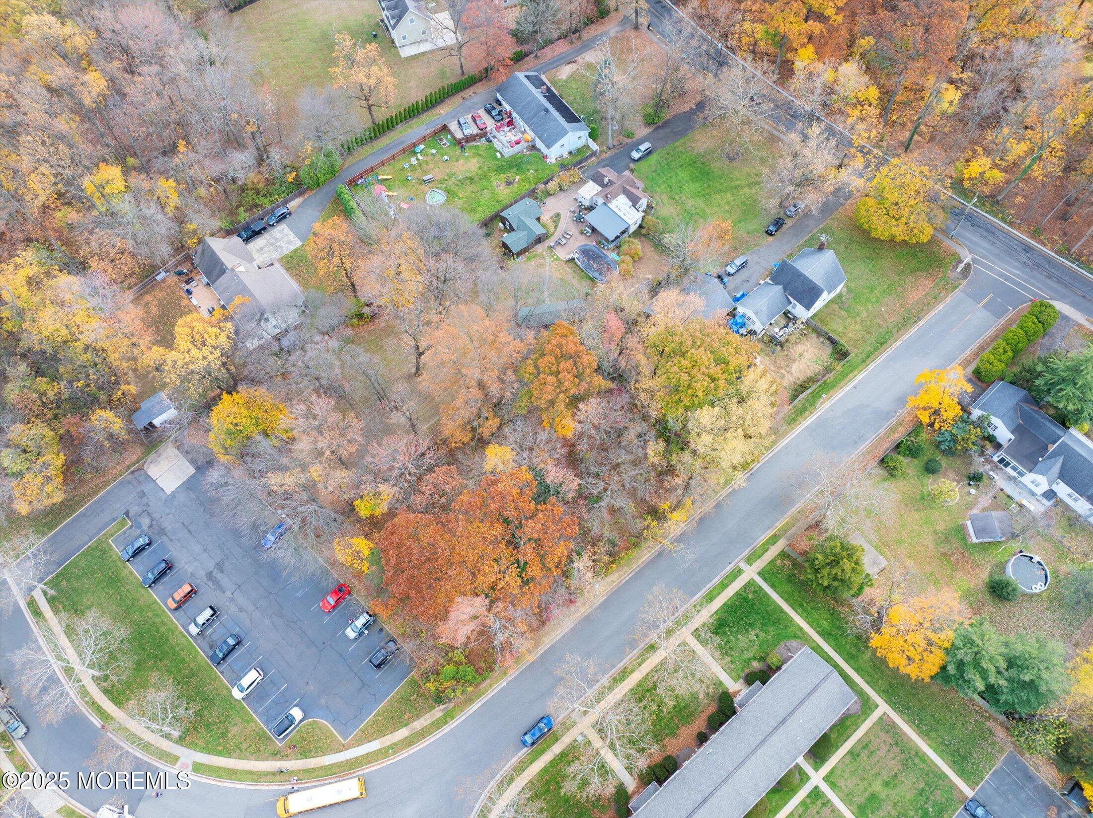 4 Sutton Place Matawan, NJ 07747 - Photo 9 of 12 a view of a tree with a yard