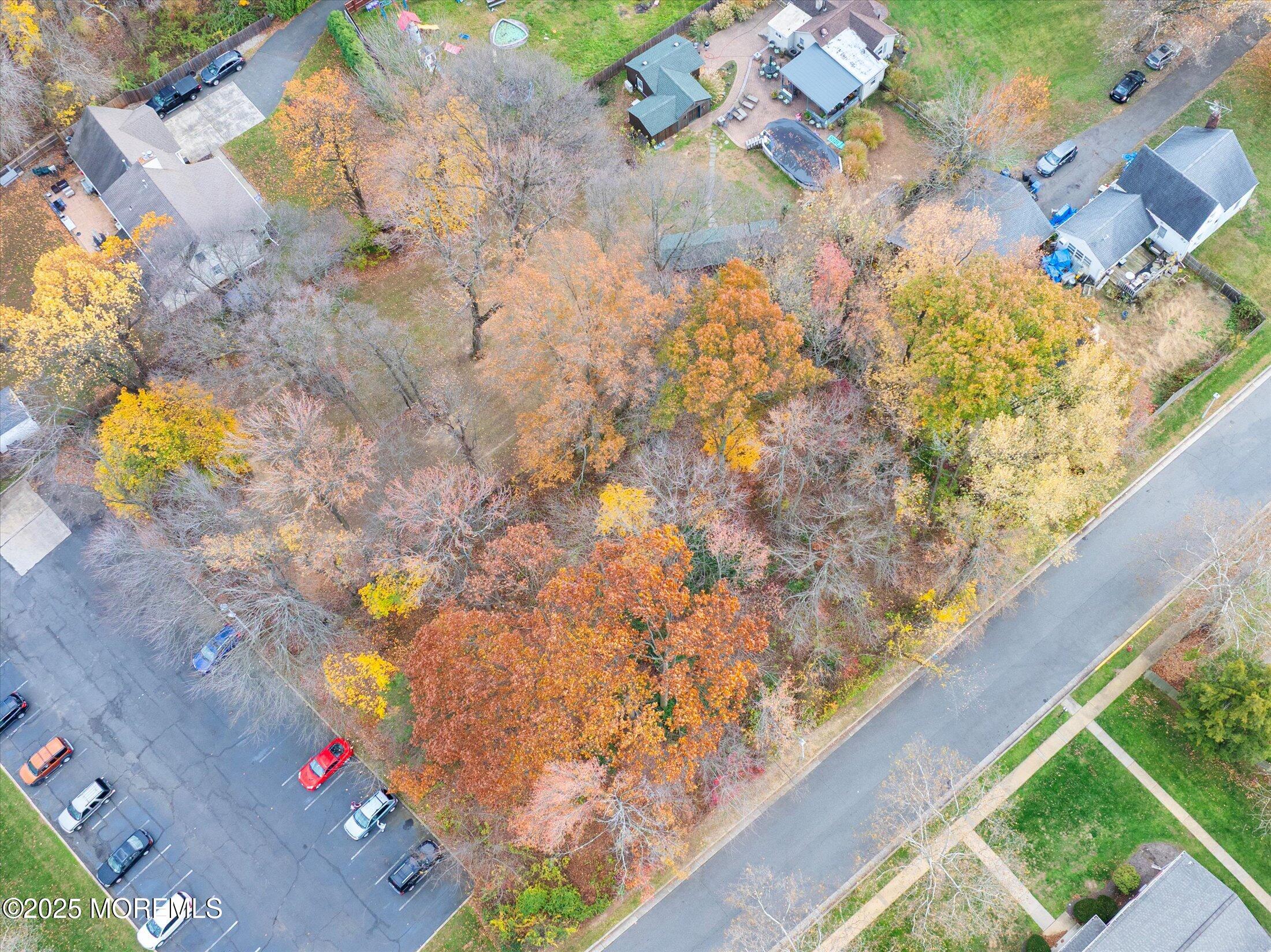4 Sutton Place Matawan, NJ 07747 - Photo 10 of 12 a picture of flowers
