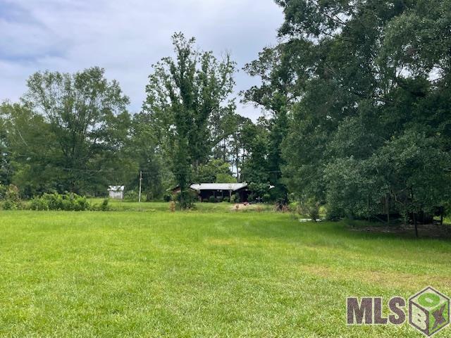 25265 Merchant Road Denham Springs, LA 70726 - Photo 1 of 6