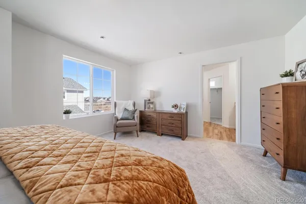 a bedroom with a bed and a cabinets