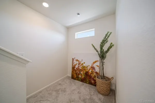 a view of a potted plant in a room