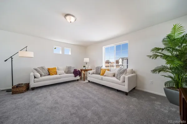 a living room with furniture and a potted plant