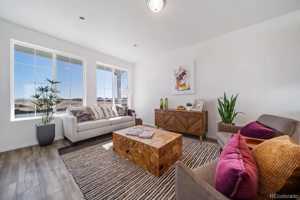 a living room with furniture and a potted plant