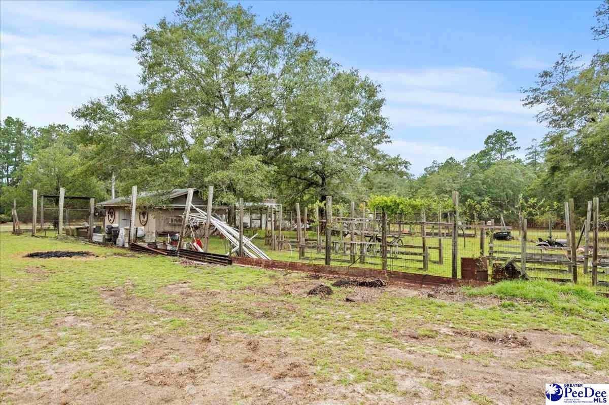 287 Bubba Road Marion, SC 29571 - Photo 42 of 54 Gallery Image 42