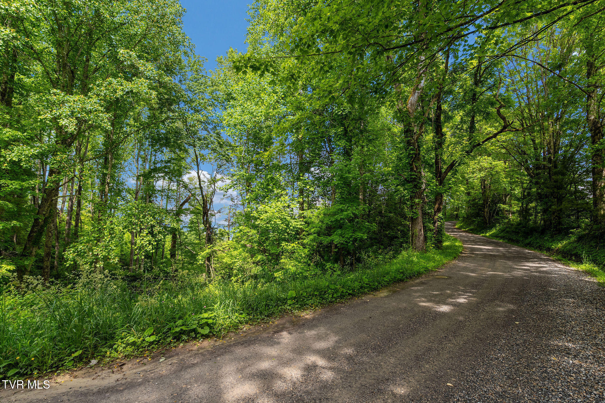 Tbd Walnut Mountain Road Butler, TN 37640 - Photo 26 of 36 DSC04464