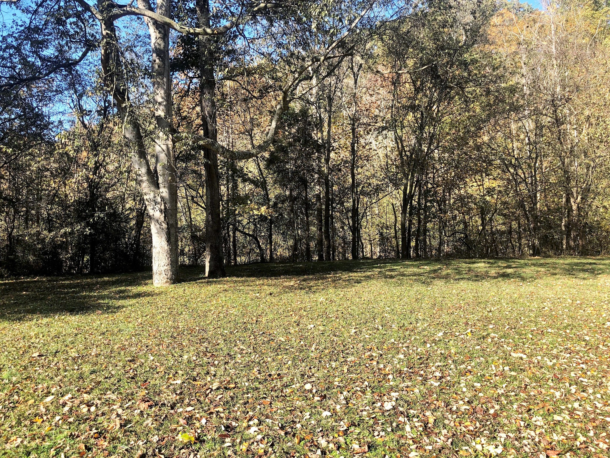 4162 Highway 49 Tennessee Ridge, TN 37178 - Photo 14 of 20 Gallery Image 14