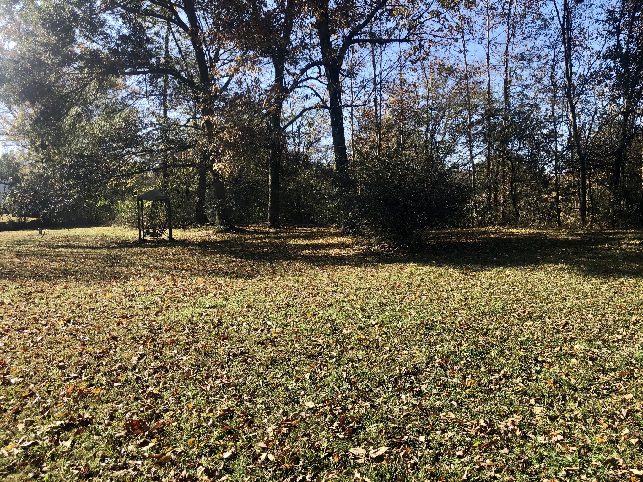 4162 Highway 49 Tennessee Ridge, TN 37178 - Photo 16 of 20 Gallery Image 16