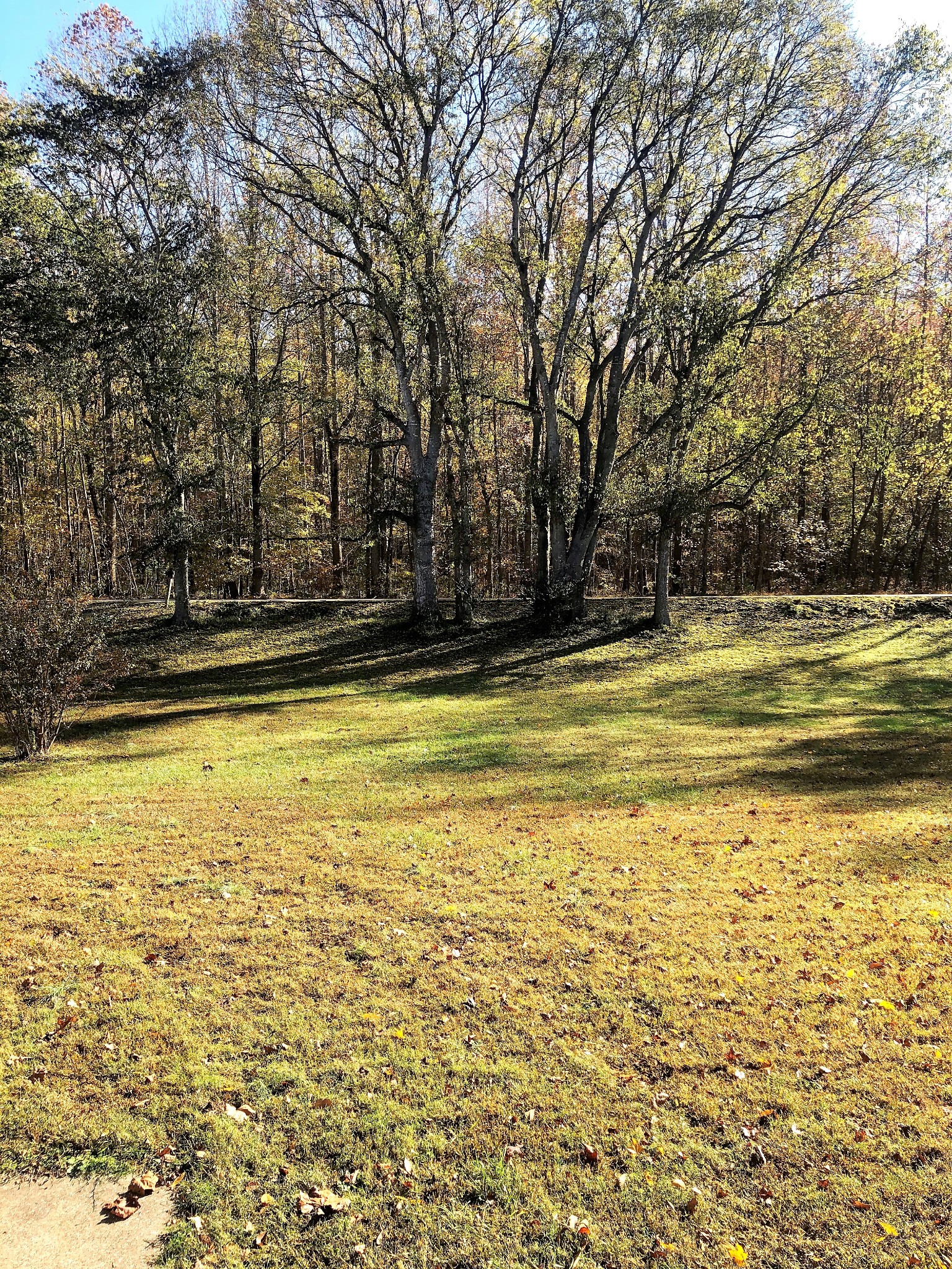 4162 Highway 49 Tennessee Ridge, TN 37178 - Photo 19 of 20 Gallery Image 19