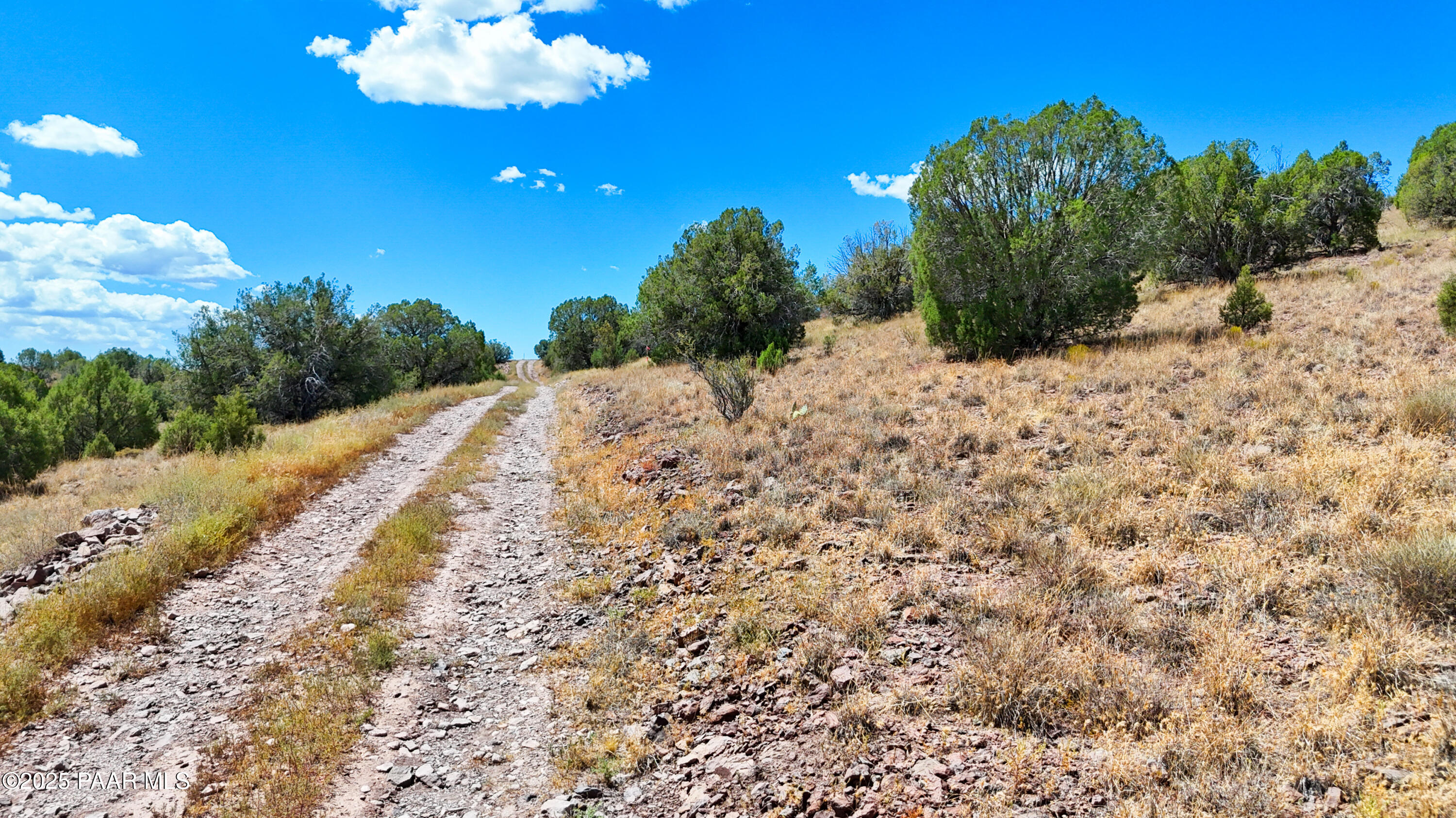 0 West Hilltop Road Chino Valley, AZ 86323 - Photo 3 of 10 a view of a dry yard with trees in the background