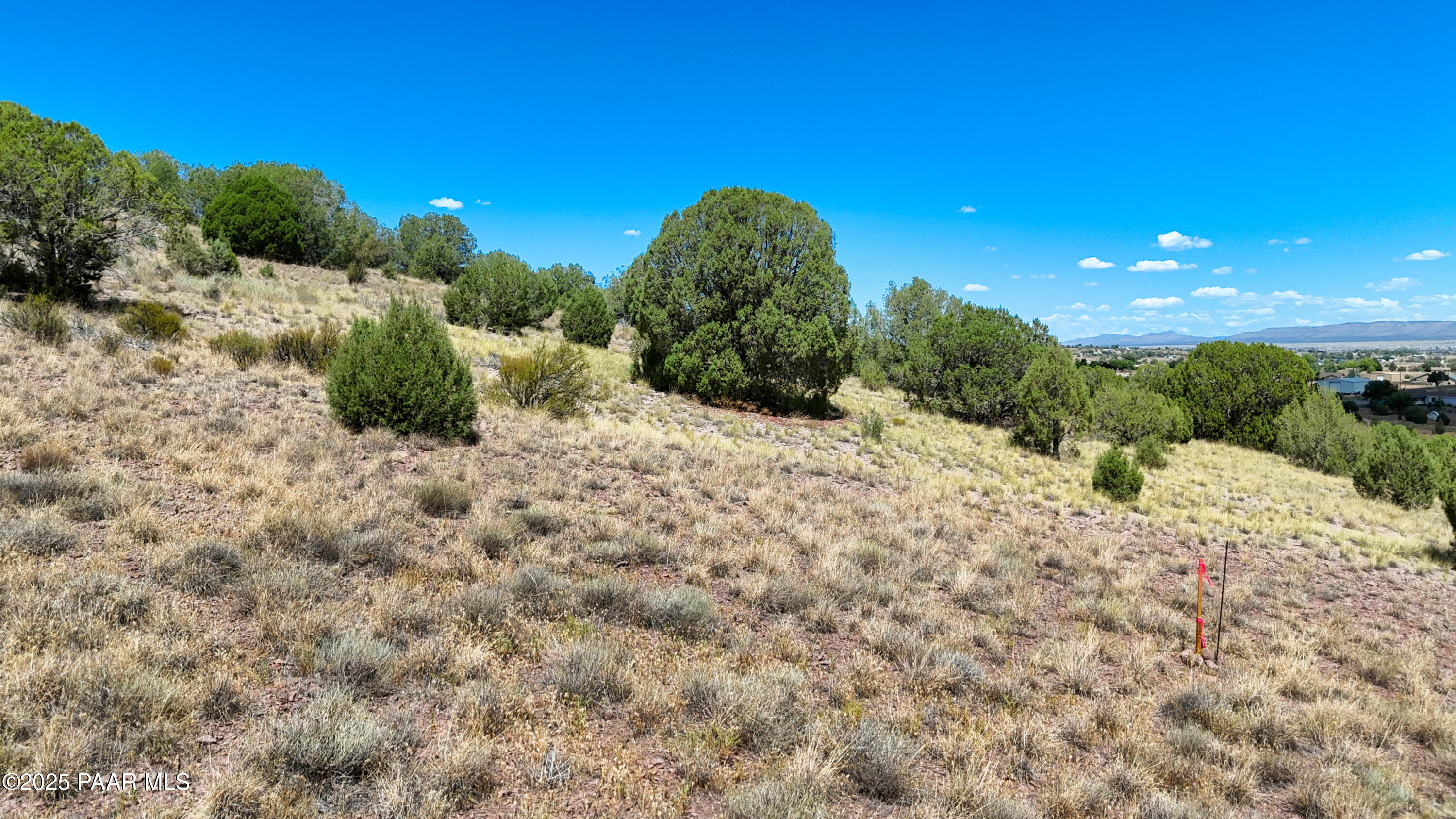 0 West Hilltop Road Chino Valley, AZ 86323 - Photo 7 of 10 a view of a bunch of trees in a field