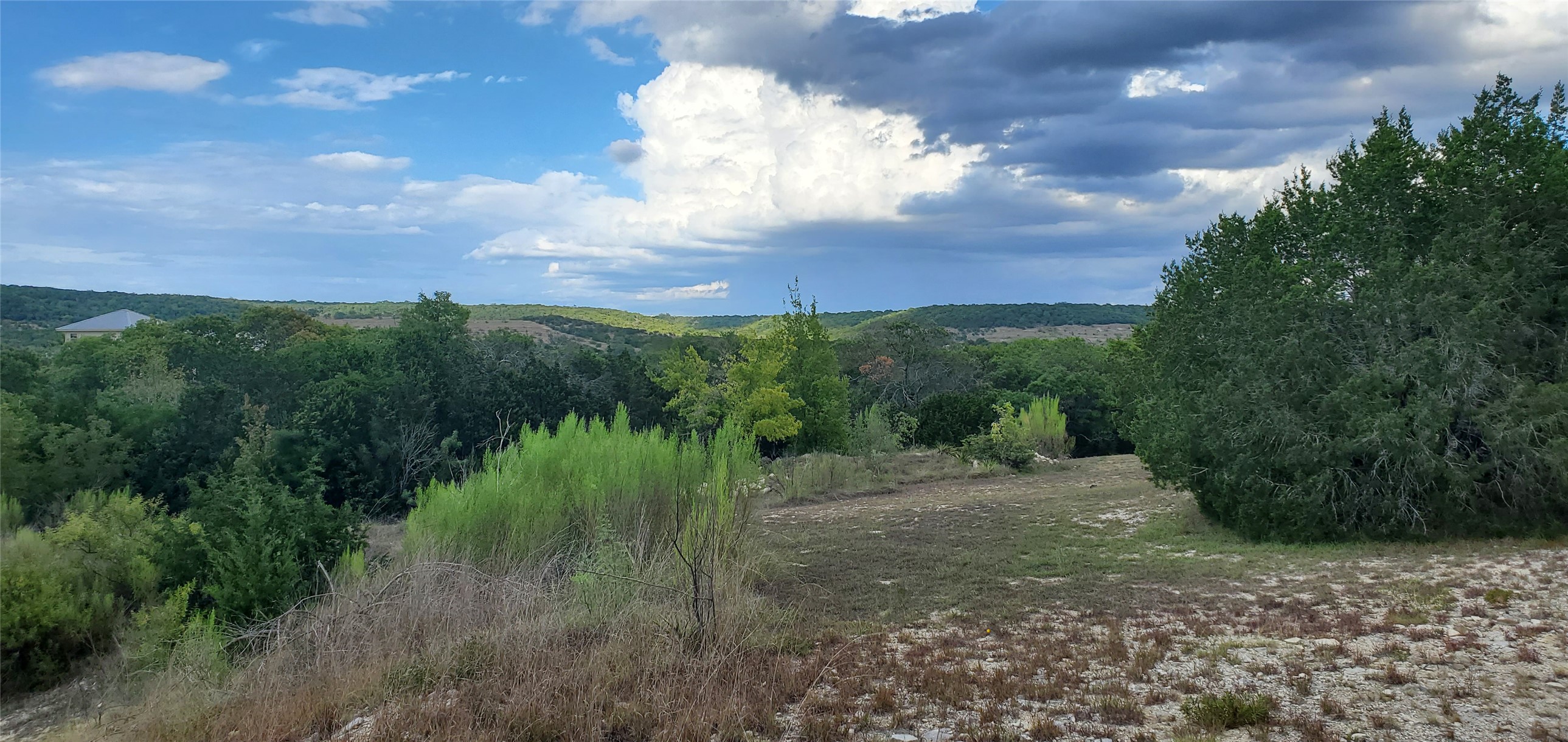 588 Balcones Ridge Way Bertram, TX 78605 - Photo 5 of 16 View of treesy lot
