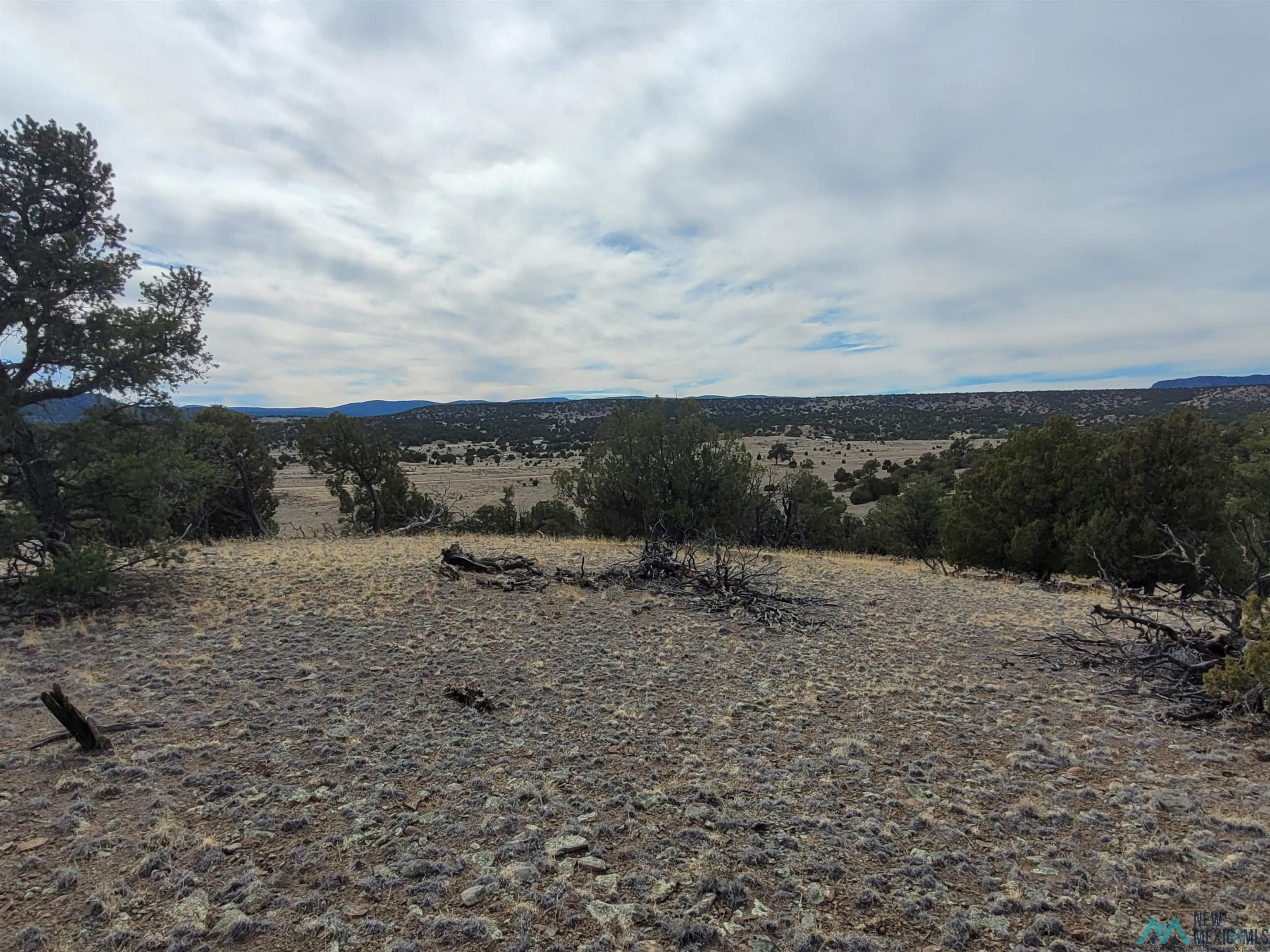 47 Cougar Run Datil, NM 87821 - Photo 20 of 38 Gallery Image 20