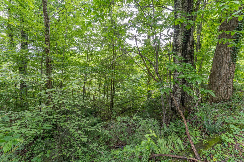 286 R J Mountain View Drive Murphy, NC 28906 - Photo 32 of 35