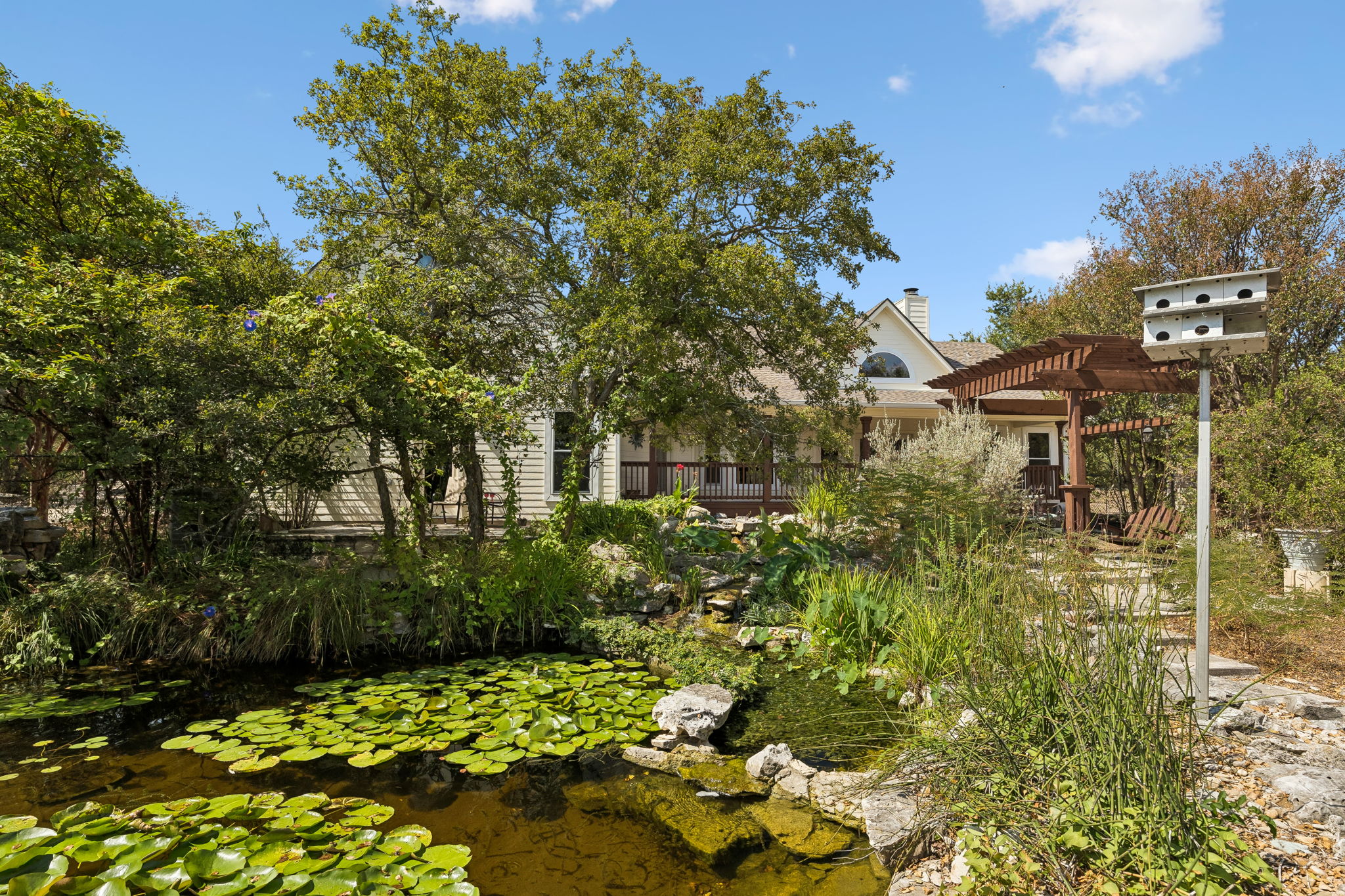 13209 North Ridge Circle Leander, TX 78641 - Photo 34 of 39 Goldfish pond looking at back of house.