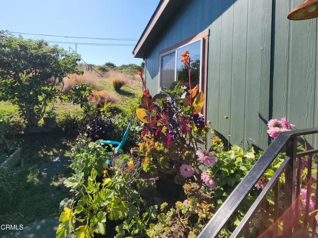 a picture of flowers