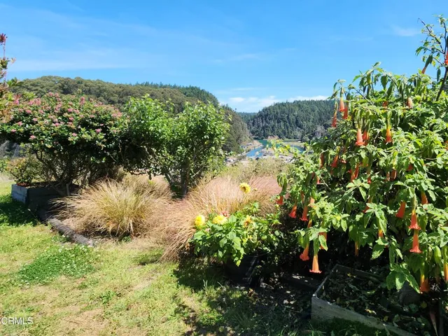 a view of a house with a yard and large trees