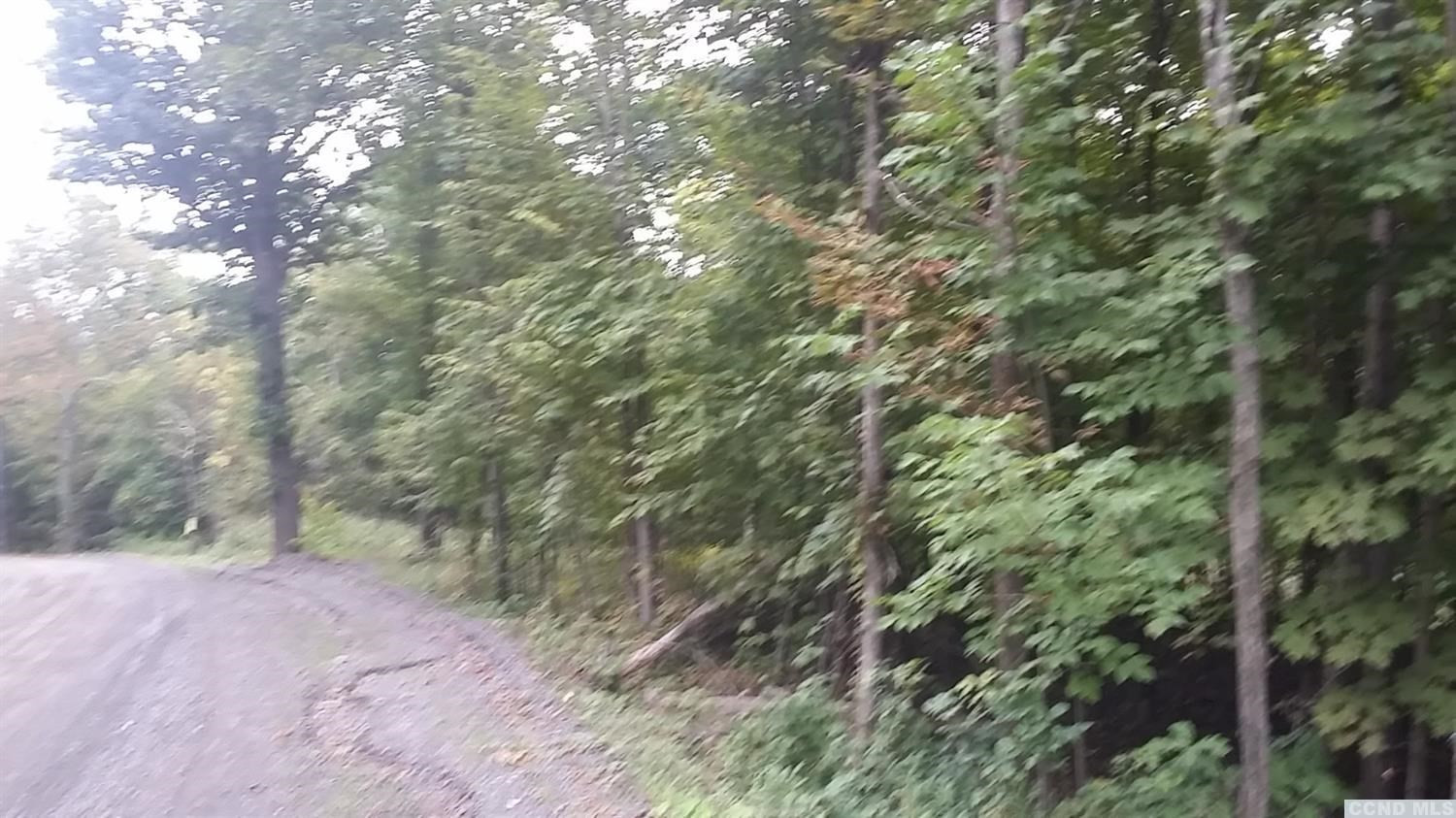 0 Old Tyler Road Cairo, NY 12413 - Photo 3 of 5 Photo 3
