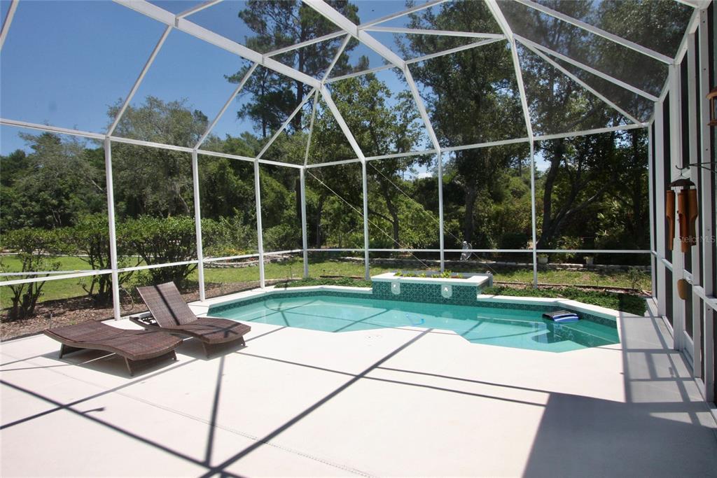 9035 Laurel Ridge Drive Mount Dora, FL 32757 - Photo 28 of 40