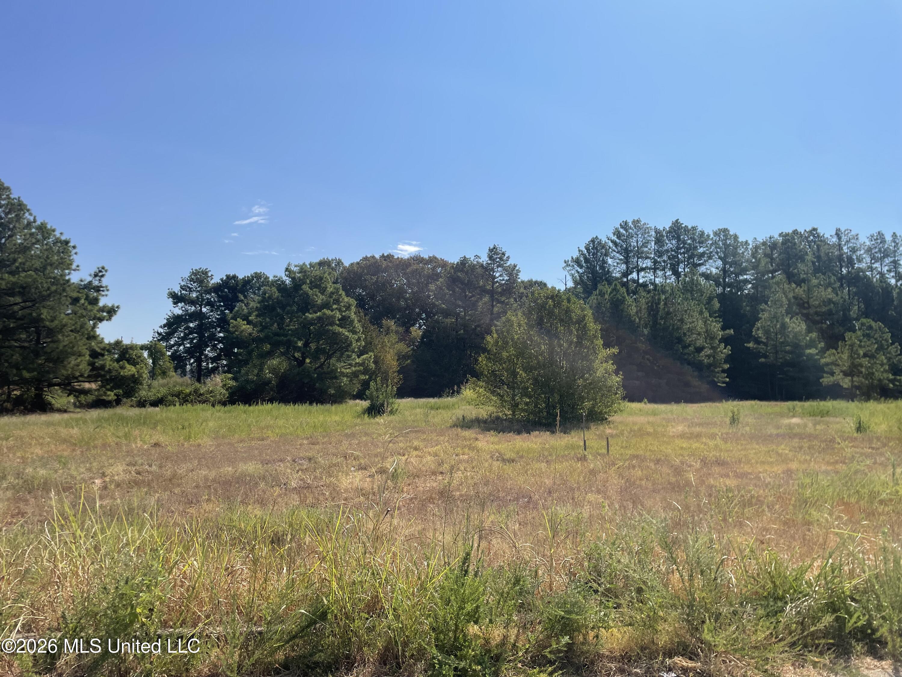 577 Star Landing Road Hernando, MS 38651 - Photo 1 of 5 IMG_4528