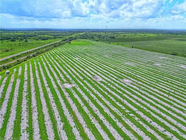 a view of an outdoor space and a yard