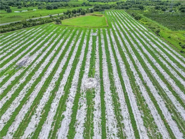 a view of outdoor space with a garden