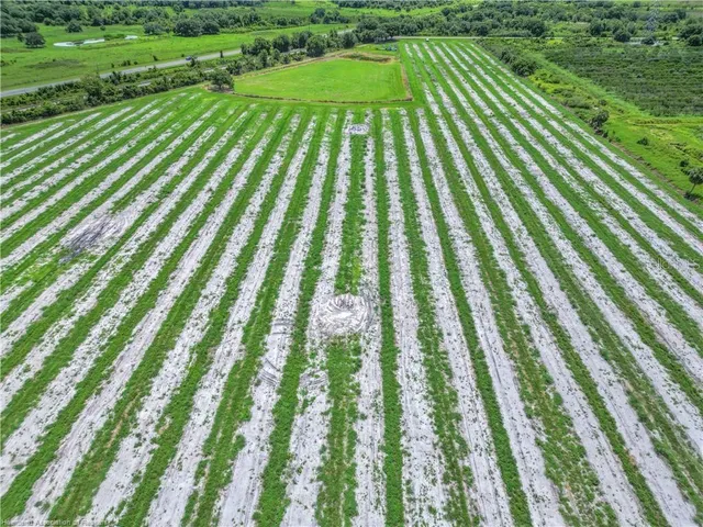 a view of outdoor space with a garden