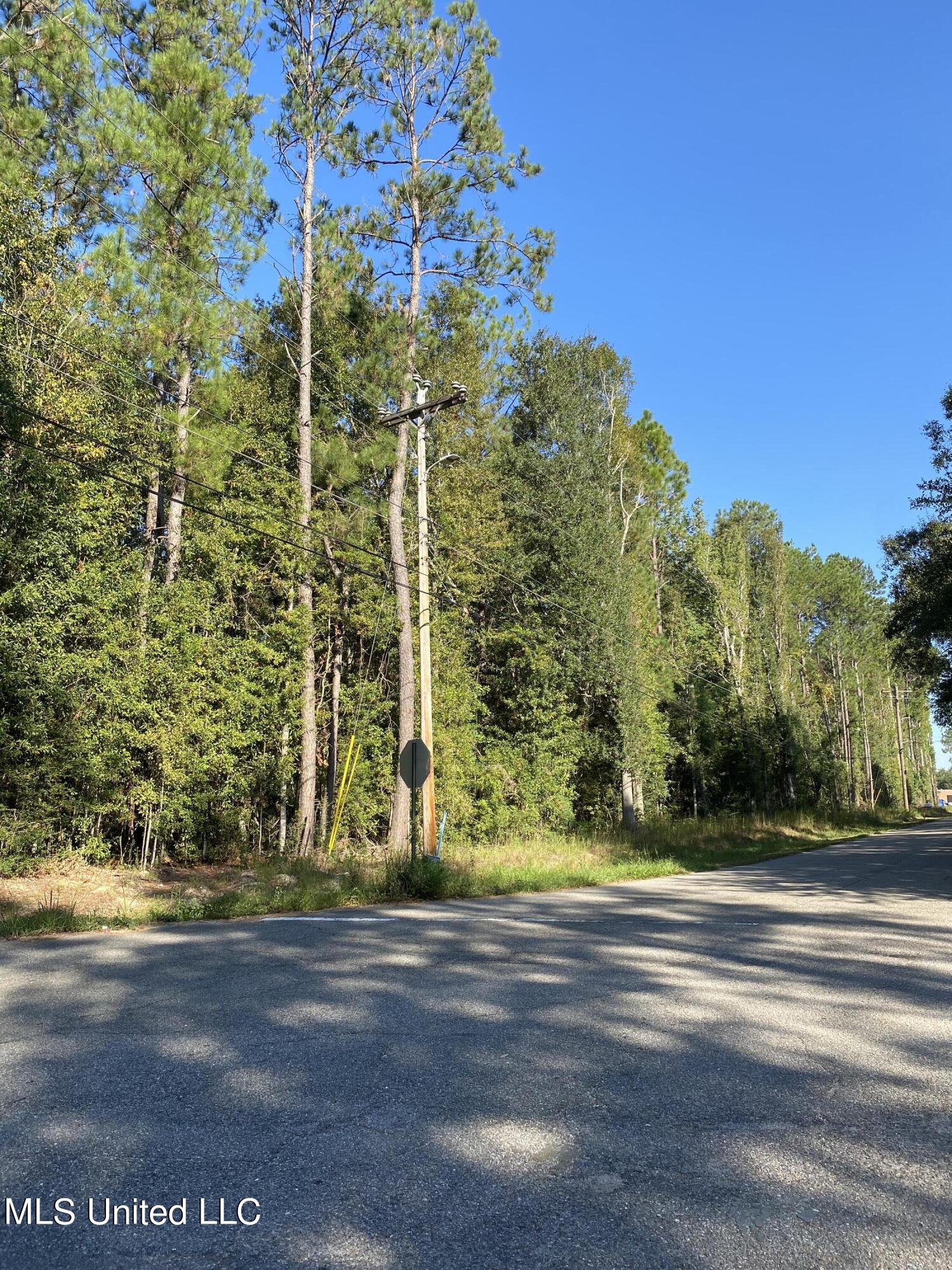 Elm Street Picayune, MS 39466 - Photo 5 of 6 4