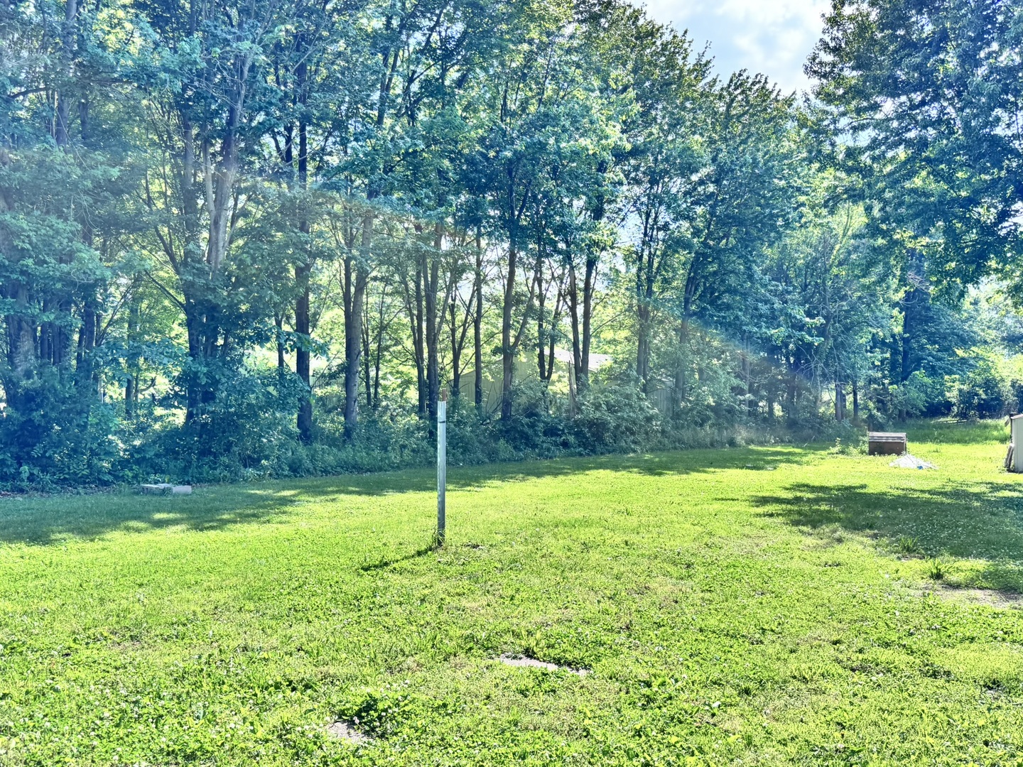 4372 Cartter Road Kell, IL 62853 - Photo 7 of 44