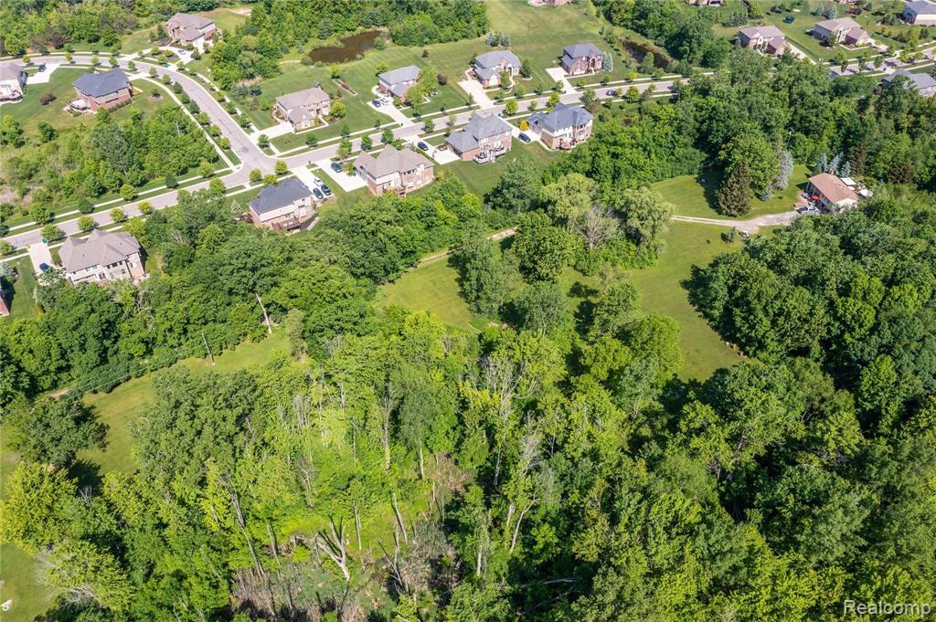 0 9 9 Mile Road Novi, MI 48374 - Photo 8 of 10