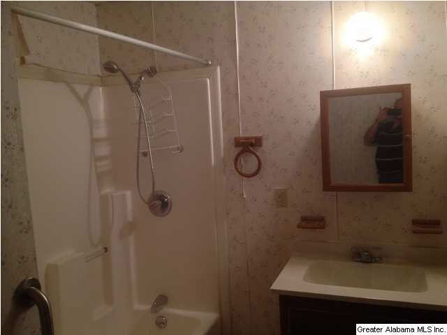 12879 Davis Creek Road McCalla, AL 35111 - Photo 6 of 21