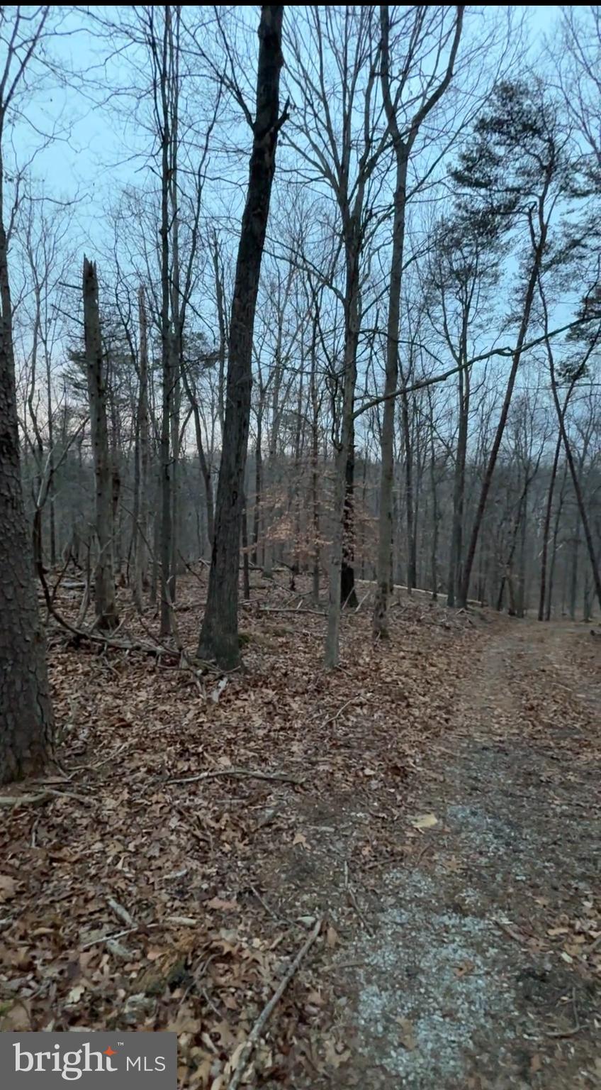 Lot 2-parcel Harpers Ferry Road Knoxville, MD 21758 - Photo 2 of 7 a view of a yard with trees