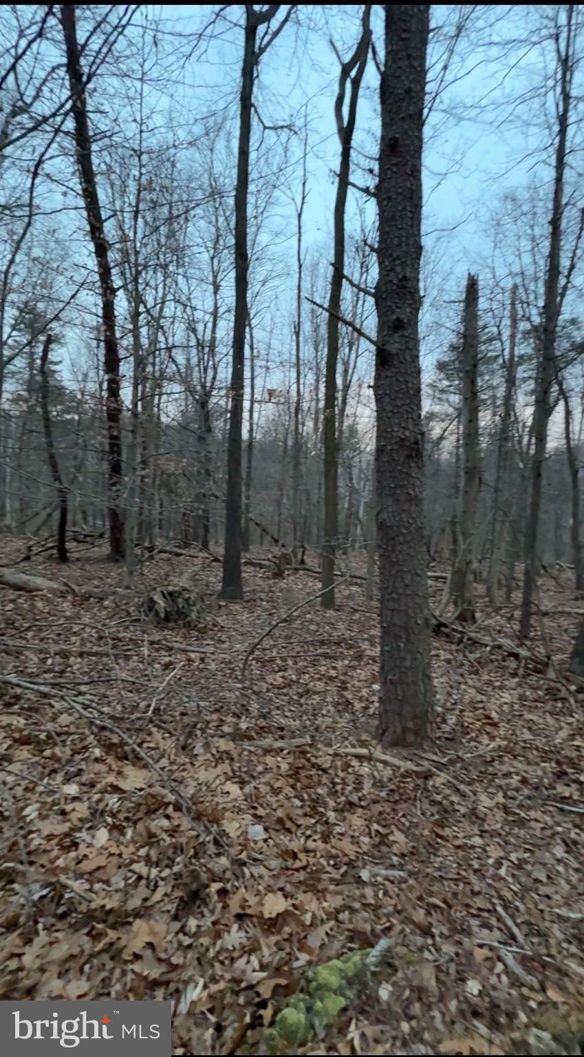 Lot 2-parcel Harpers Ferry Road Knoxville, MD 21758 - Photo 3 of 7 a backyard of a house with lots of green space