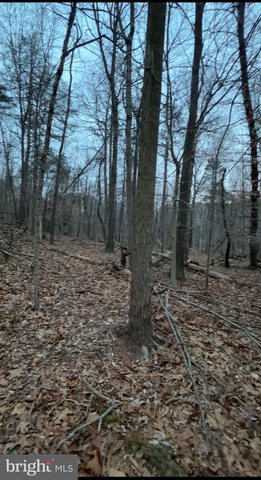 Lot 2-parcel Harpers Ferry Road Knoxville, MD 21758 - Photo 4 of 7 a backyard of a house with lots of green space